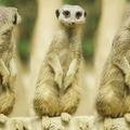 Namibian Northern Highlights in 7 Days Escorted Tour