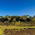 Luxury Hemingways 11 nights Fly Safari and Beach