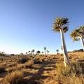 Namibia Discovery in 13 Days Escorted Tour