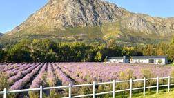 Garden Route and Eastern Cape Self Drive Holiday