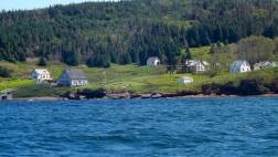 FAMILY GUIDED CANOE OR KAYAK TOUR