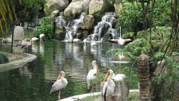 Kuala Lumpur Parks And Gardens