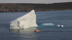 ICEBERG, WHALE AND SEABIRD TOUR