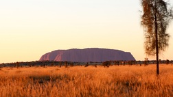 Uluru & Kata Tjuta Highlights