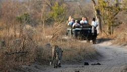 South African Surprise -14 night / 15 day escorted tour