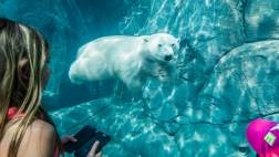 ASSINIBOINE PARK ZOO ADMISSION INCLUDING TRANSFERS