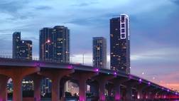 City Tour and Bay Cruise