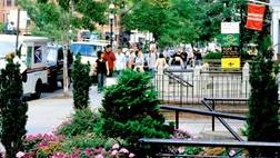 Boston Old Town Trolley