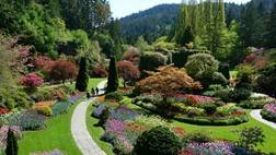 Butchart Gardens