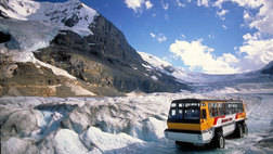 Columbia Icefield Discovery Sightseeing Tour