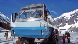 Columbia Icefields Tour