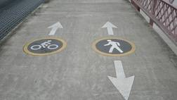 Pedal Bike Tours - Historic Downtown Tour