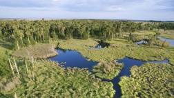 EVERGLADES NATIONAL PARK – 2 HOUR BIRDING AND DOLPHIN PHOTO BOAT TOUR