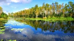 Everglades & Airboat