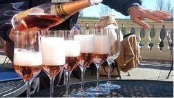 Extranomical Tours (Premium Outlet Shopping Tour & Napa Wine Tasting)