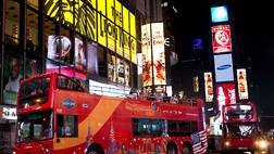 Gray Line City Sightseeing New York Night On The Town