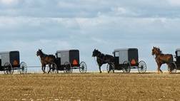 Gray Line City Sightseeing New York One-Day Excursion to Philadelphia & Amish Country By Bus