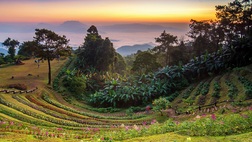 Hilltribe Trekking and Elephants