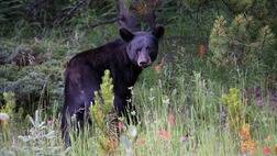 Great Parks of the West Self Drive