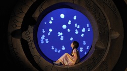 Atlantis The Lost Chambers Aquarium- Day Pass - Ticket Only