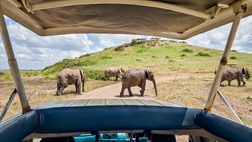 Kenya Classic - Zebra Plains - 6 nt / 7 day Safari