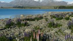 Southern Spectacular