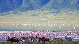 3 night Tanzania Safari - Lakes & Caldera
