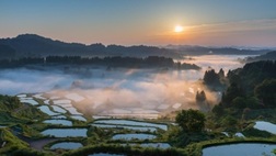 The World of Rice