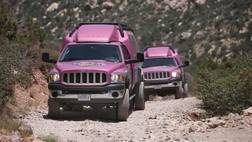 Pink Jeep Tours - Red Rock Canyon