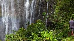 Polynesian Adventure Tours Hana Adventure Tour
