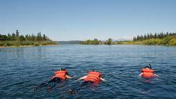 RAFTING AND SNORKEL WITH SALMON TOUR