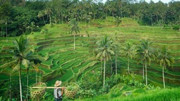 Overland from North Bali to Ubud