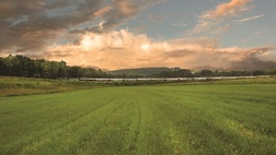 Cape Town (4 nights), Rovos Rail (3 nights), Pretoria (1 night) and Victoria Falls (3 nights)