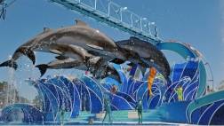 Seaworld 1 day Pass