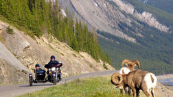 SIDECAR MOTORCYCLE TOURS OF JASPER