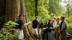 STANLEY PARK & NORTH SHORE RAINFOREST ADVENTURE
