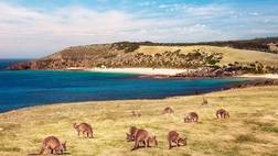 Melbourne to Adelaide via Kangaroo Island Self Drive