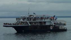Whale Watching from TADOUSSAC – 3 Hour Boat