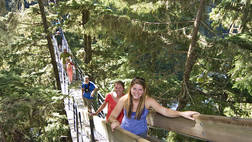 TREETREK CANOPY WALK