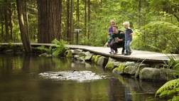 VANCOUVER CITY TOUR & CAPILANO SUSPENSION BRIDGE