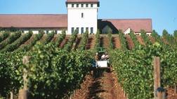 Oregon Wine Tasting Tour