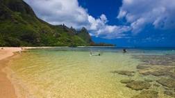 Waimea Canyon & Wailua River Tour