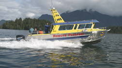 WHALE WATCH PLUS - ZODIAC OR COVERED BOAT (REMOTE PASSAGES)