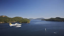 WHALE WATCHING ROUNDTRIP BY AIR