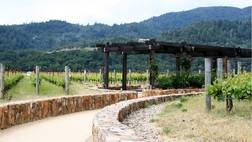 Napa & Sonoma Wine Country Tour