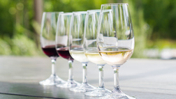 Winelands Tour - Full Day