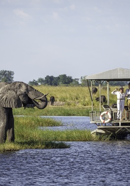Delta, River & Falls: The Ultimate Botswana Safari Journey