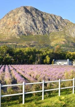 Garden Route and Eastern Cape Self Drive Holiday