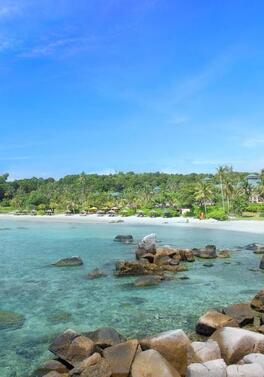 Regional Departures! Singapore & Bintan Island