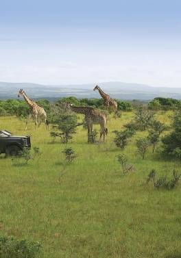 Cape Town, Garden Route and Safari Self Drive